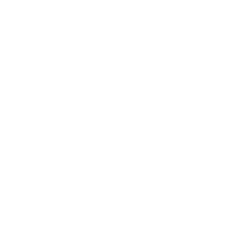 WISS